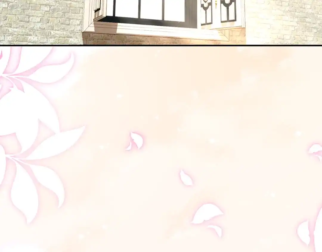 第223页