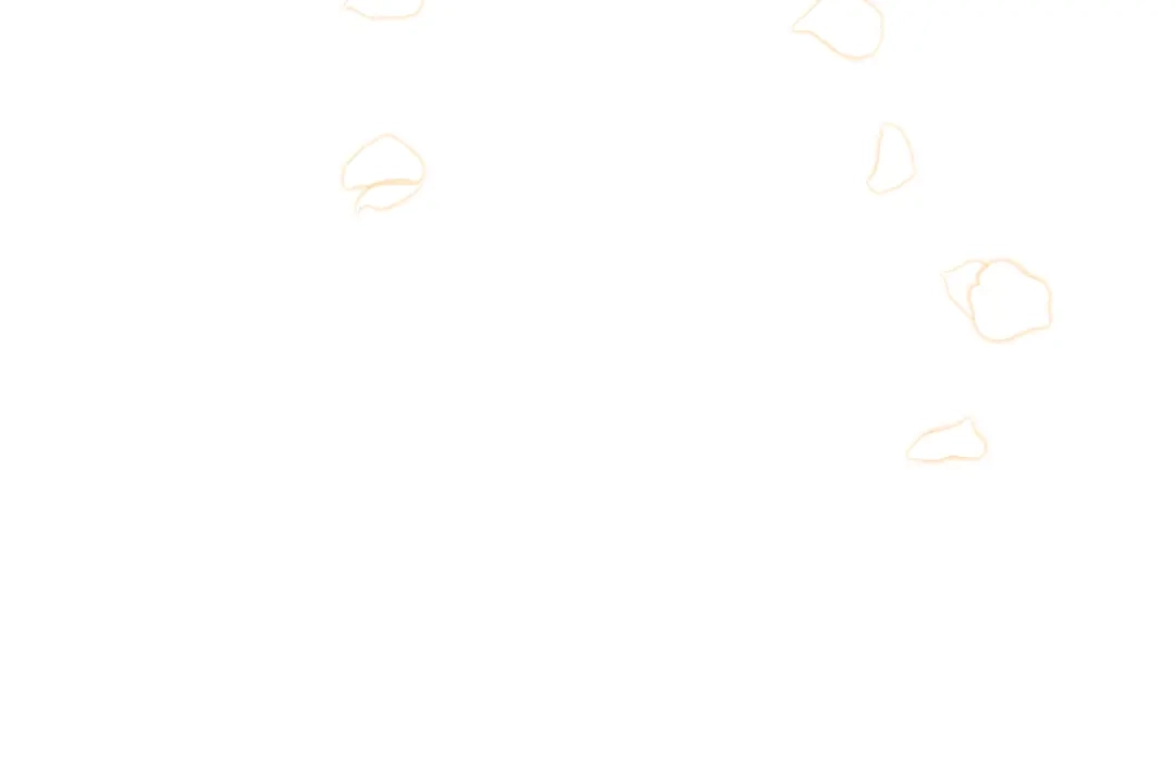 第232页