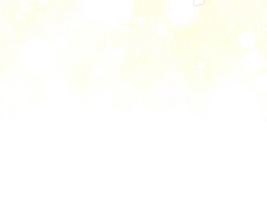 第221页