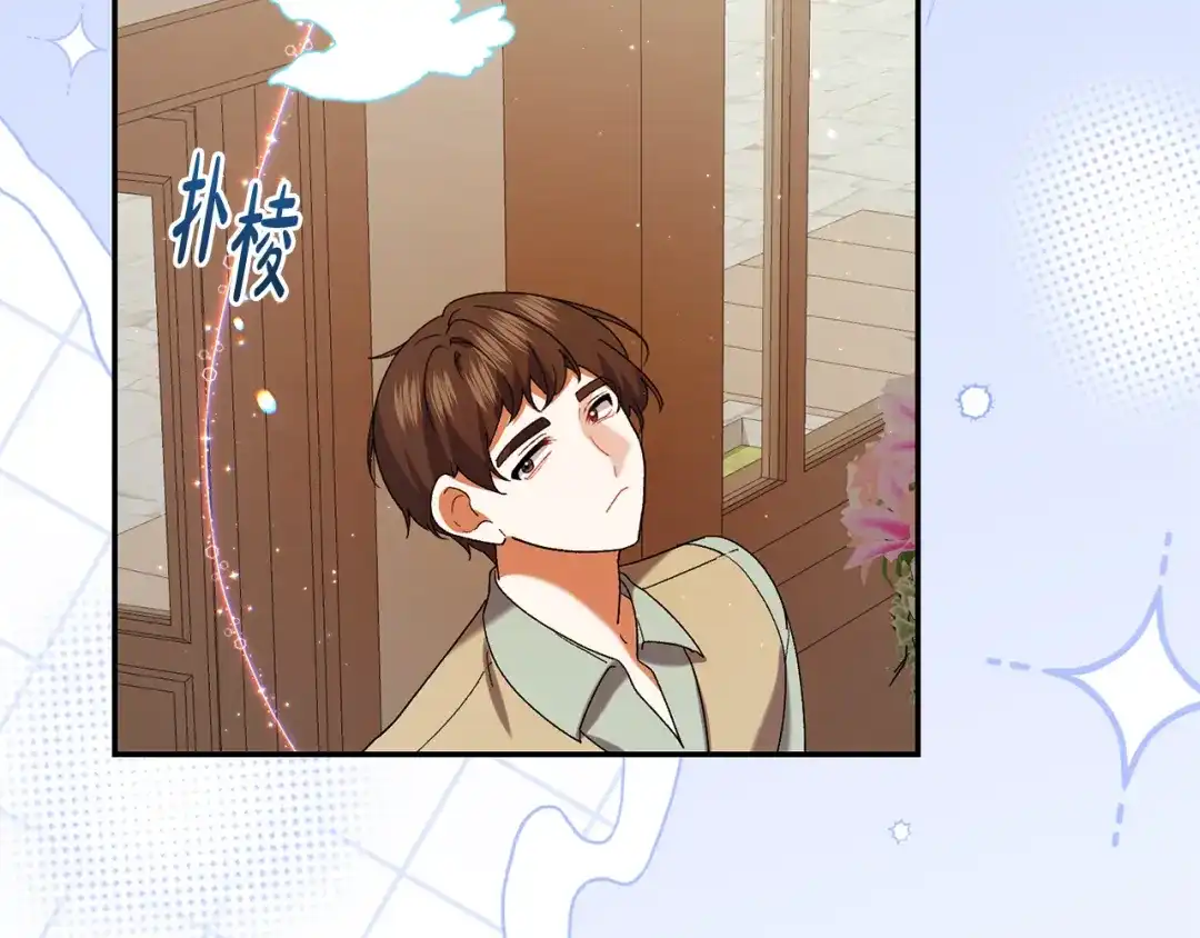 第217页