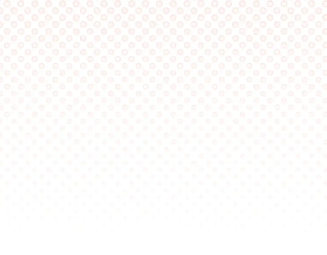 第215页