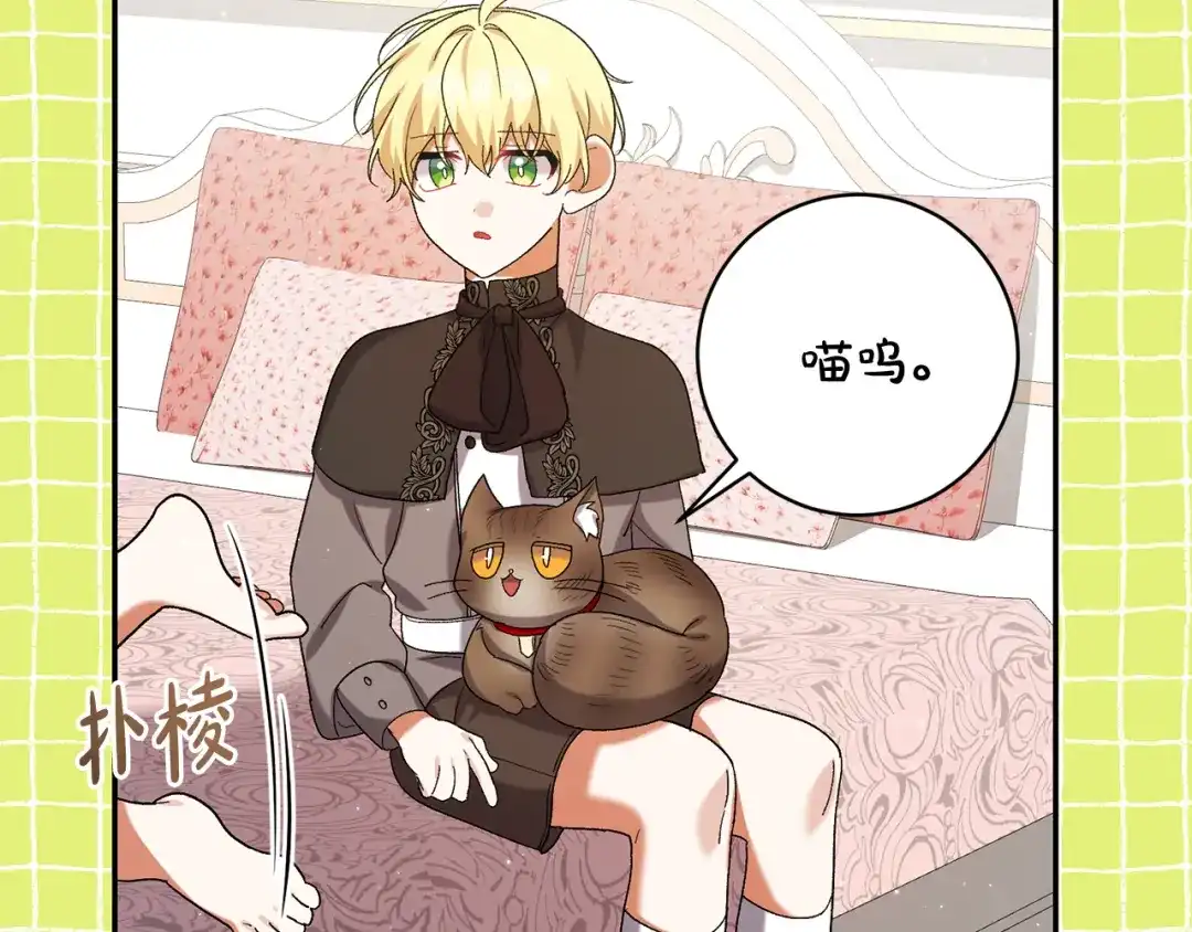 第205页