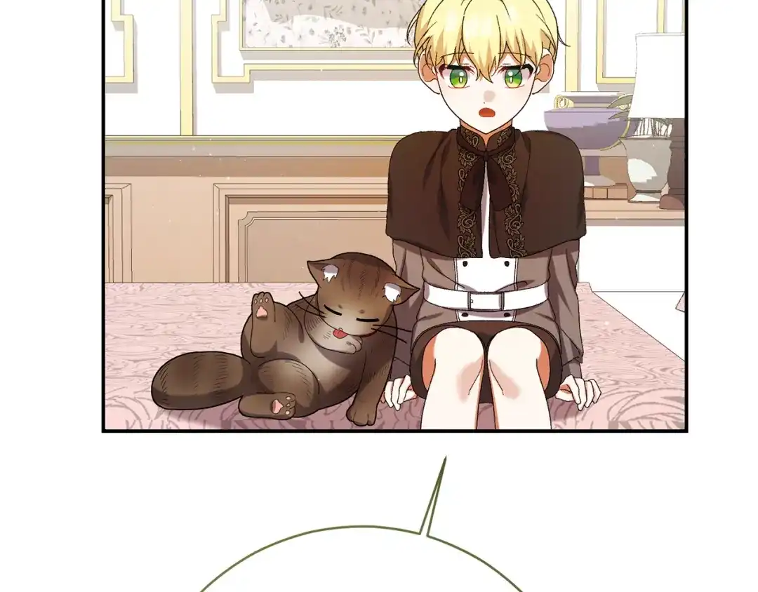 第235页