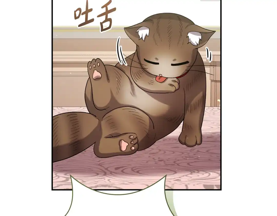 第241页