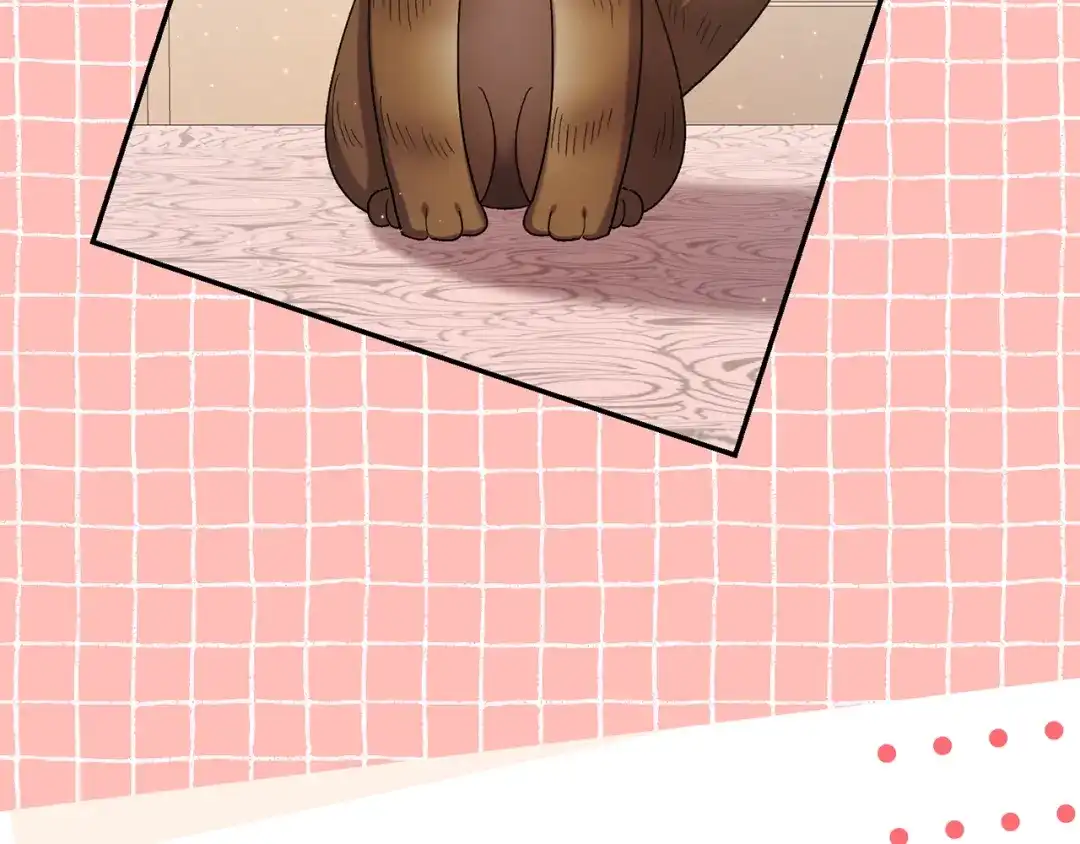 第265页