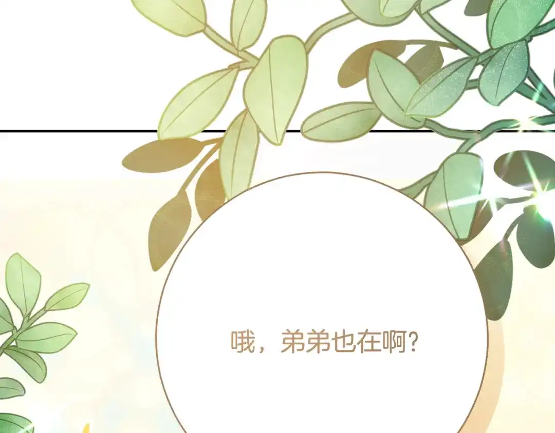 第279页