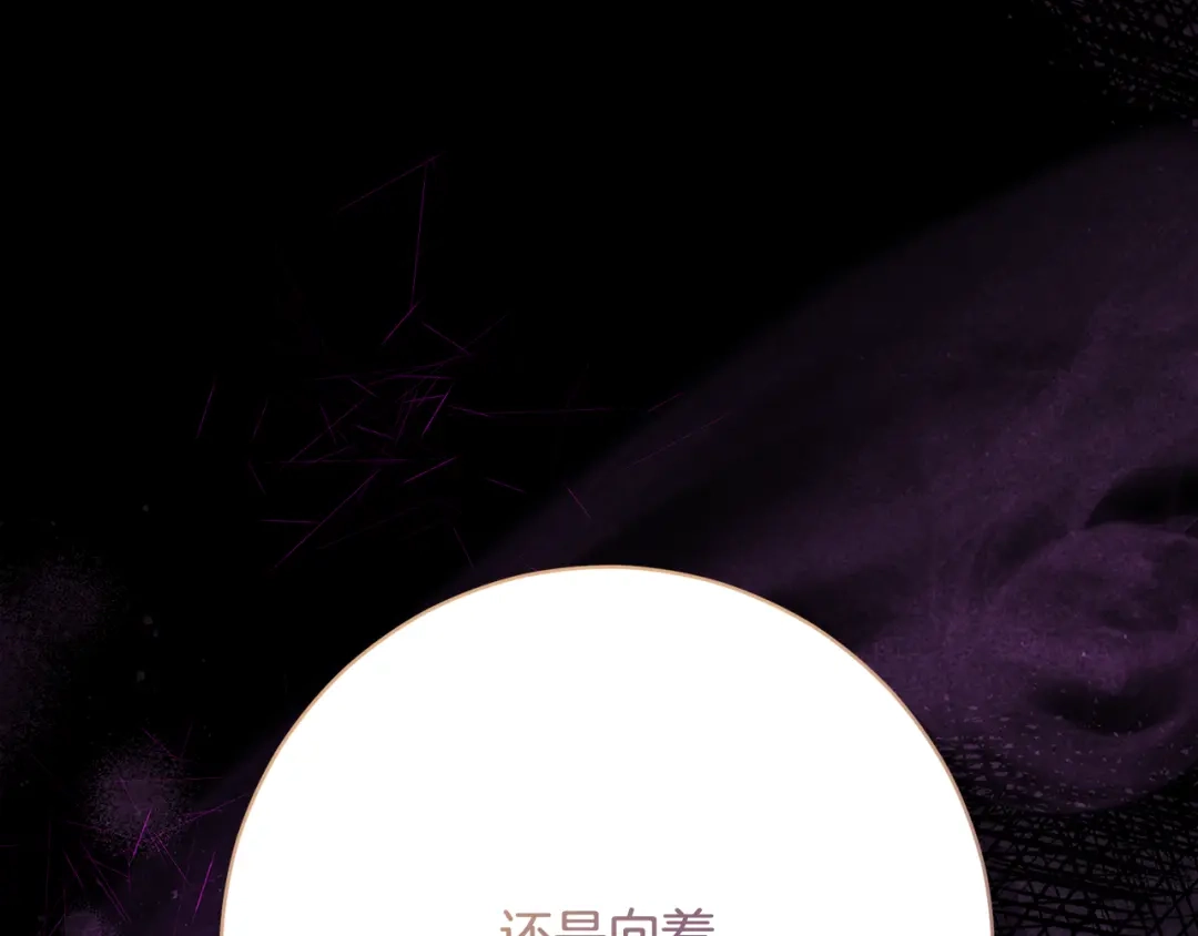 第295页
