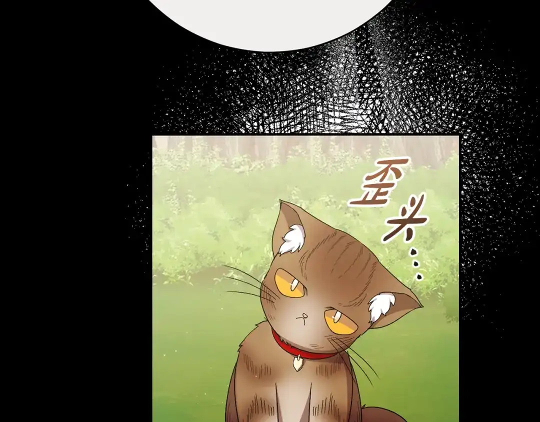 第205页