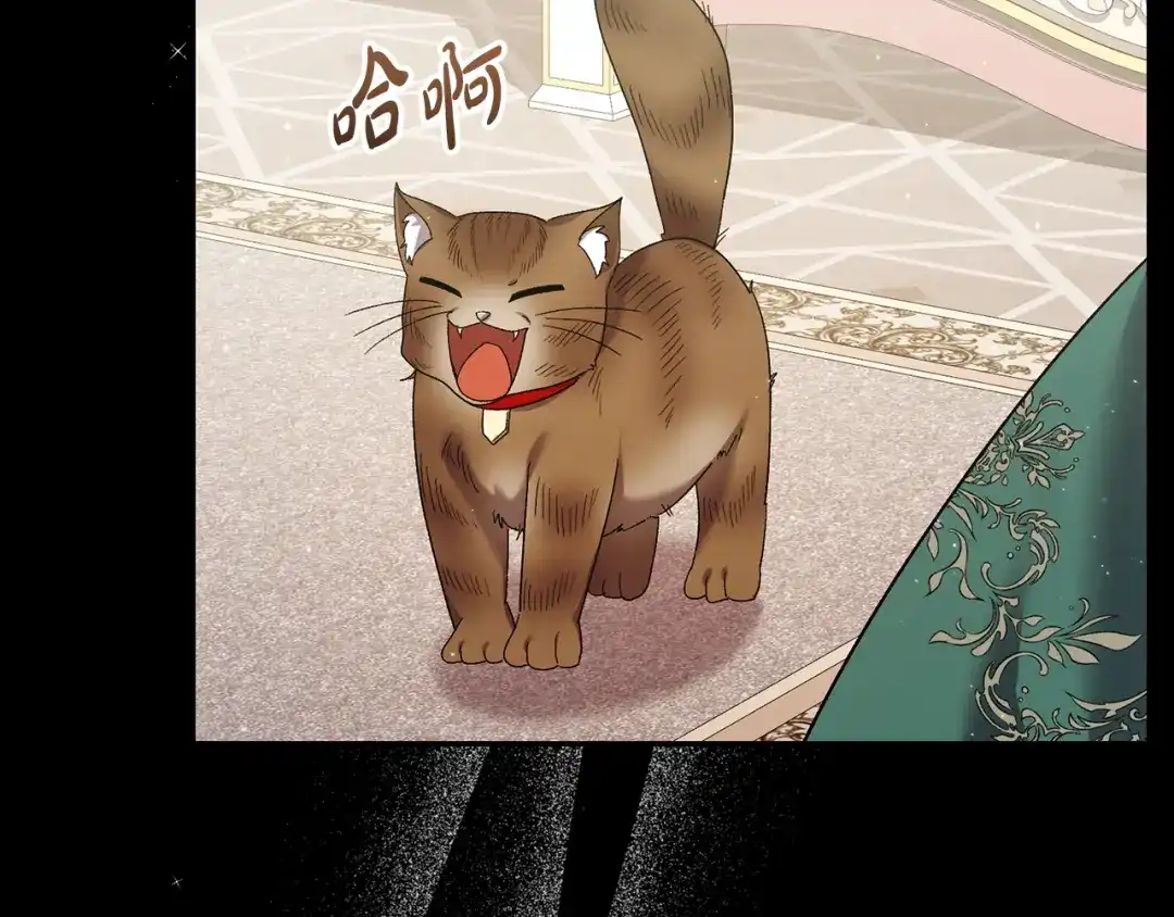 第221页