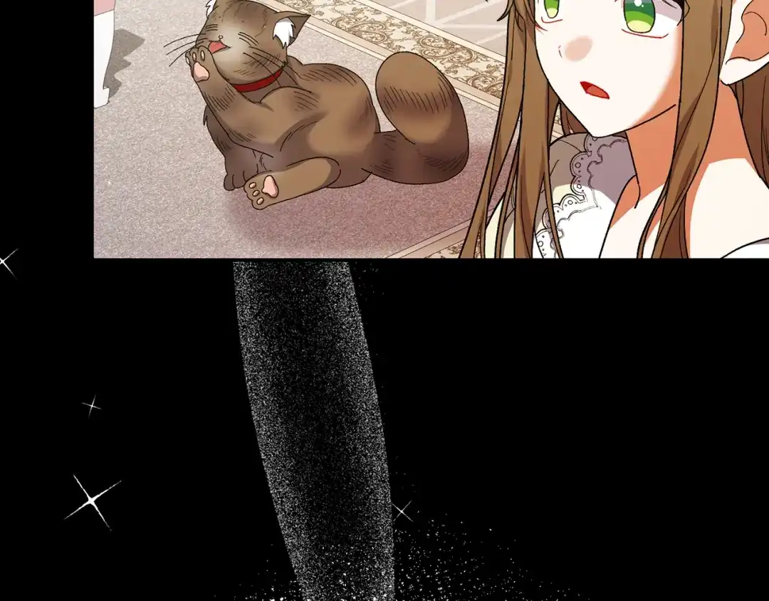 第239页
