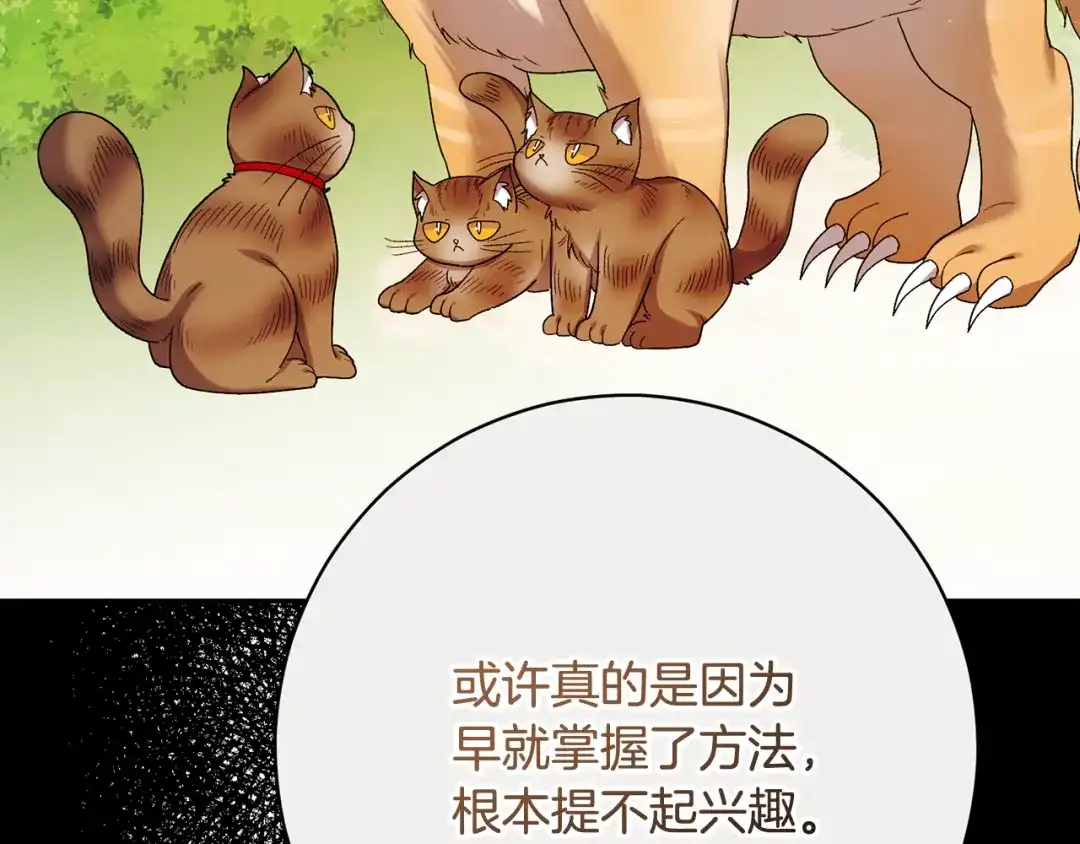 第251页