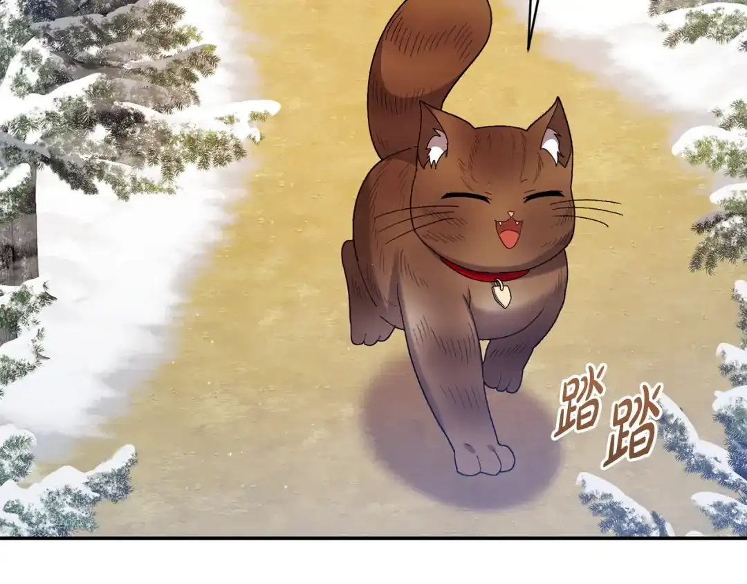 第375页