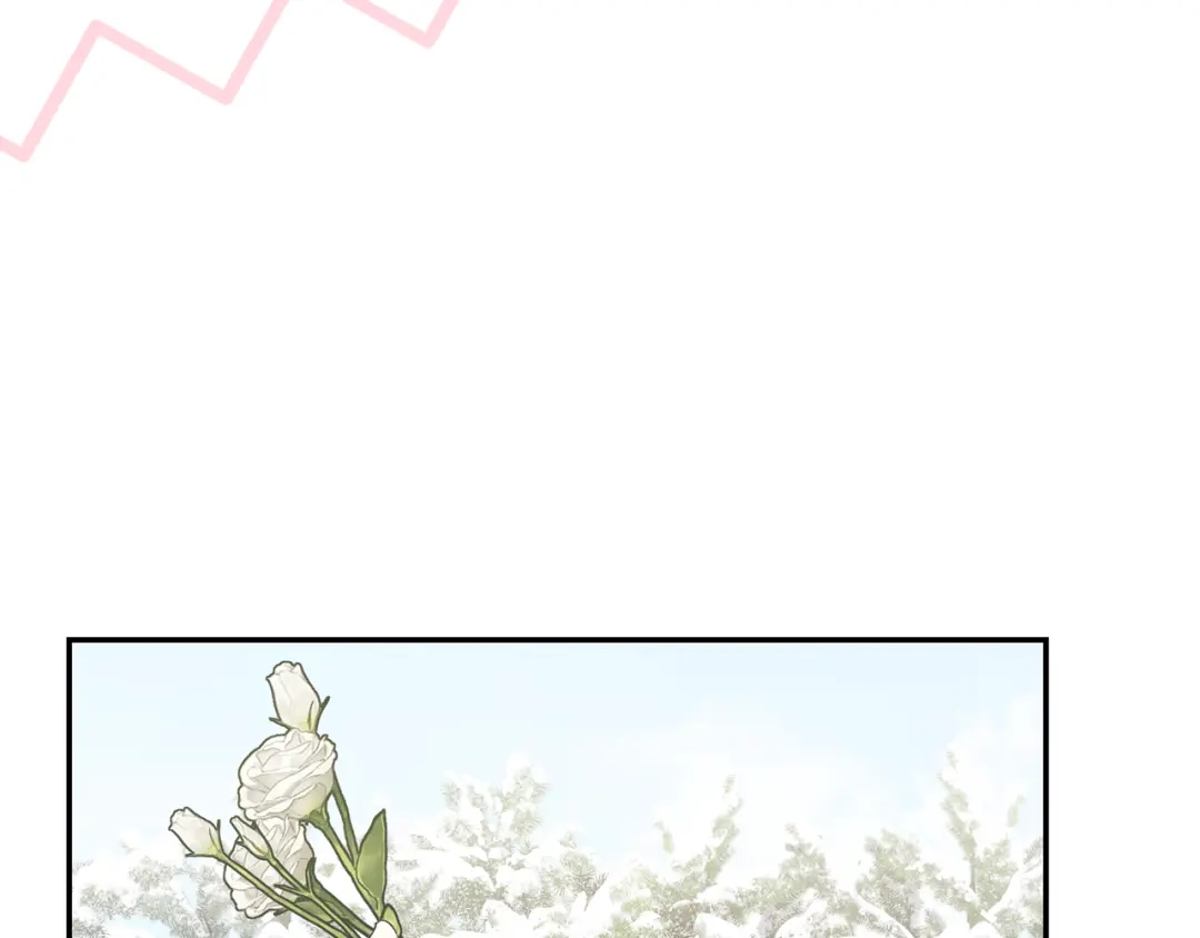 第425页