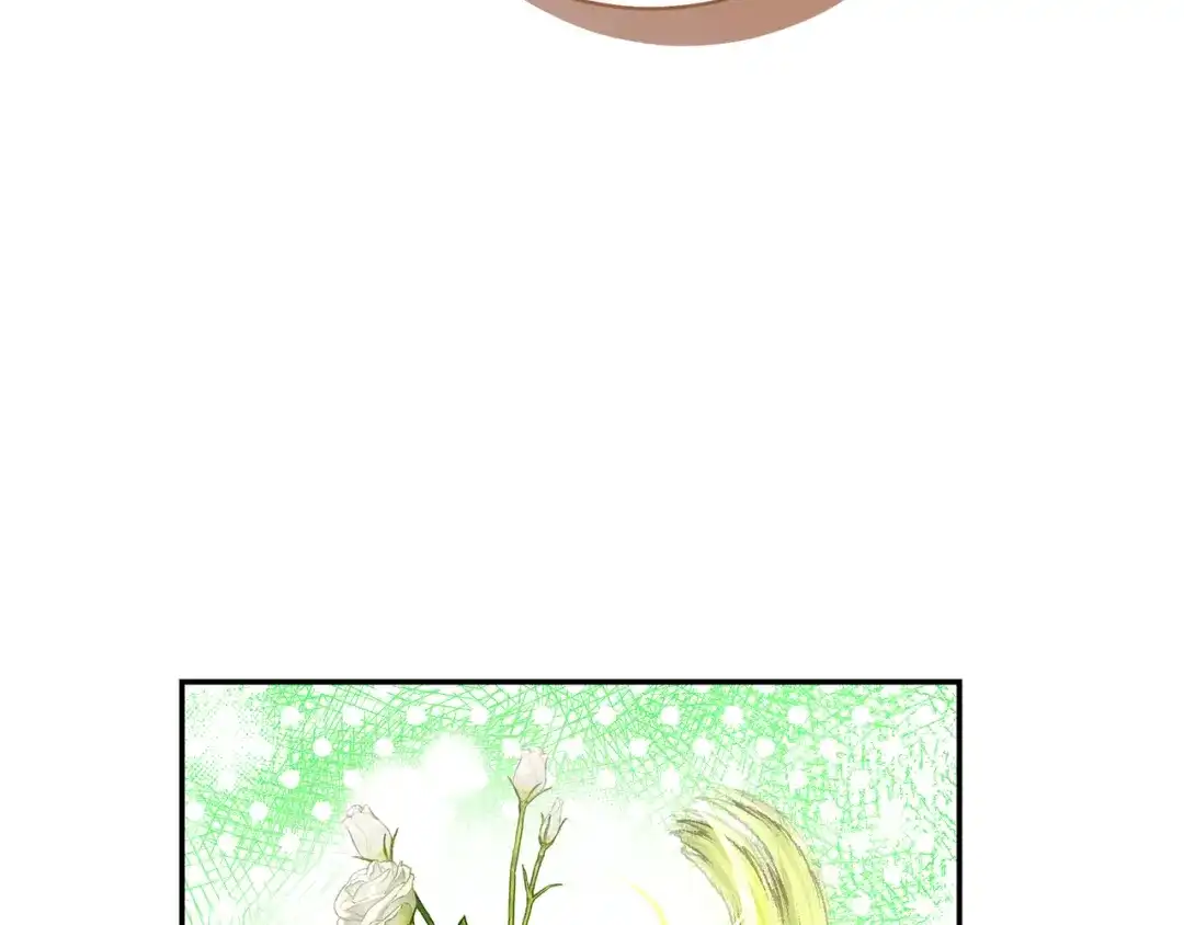 第443页