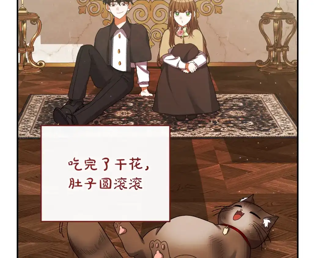 第205页