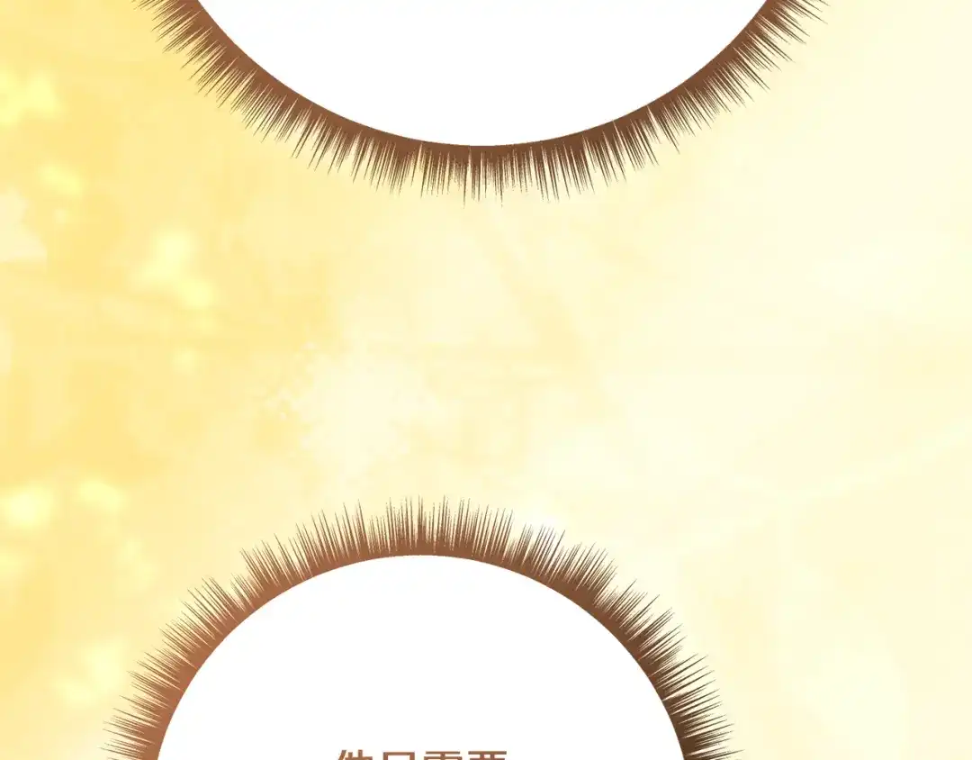 第241页