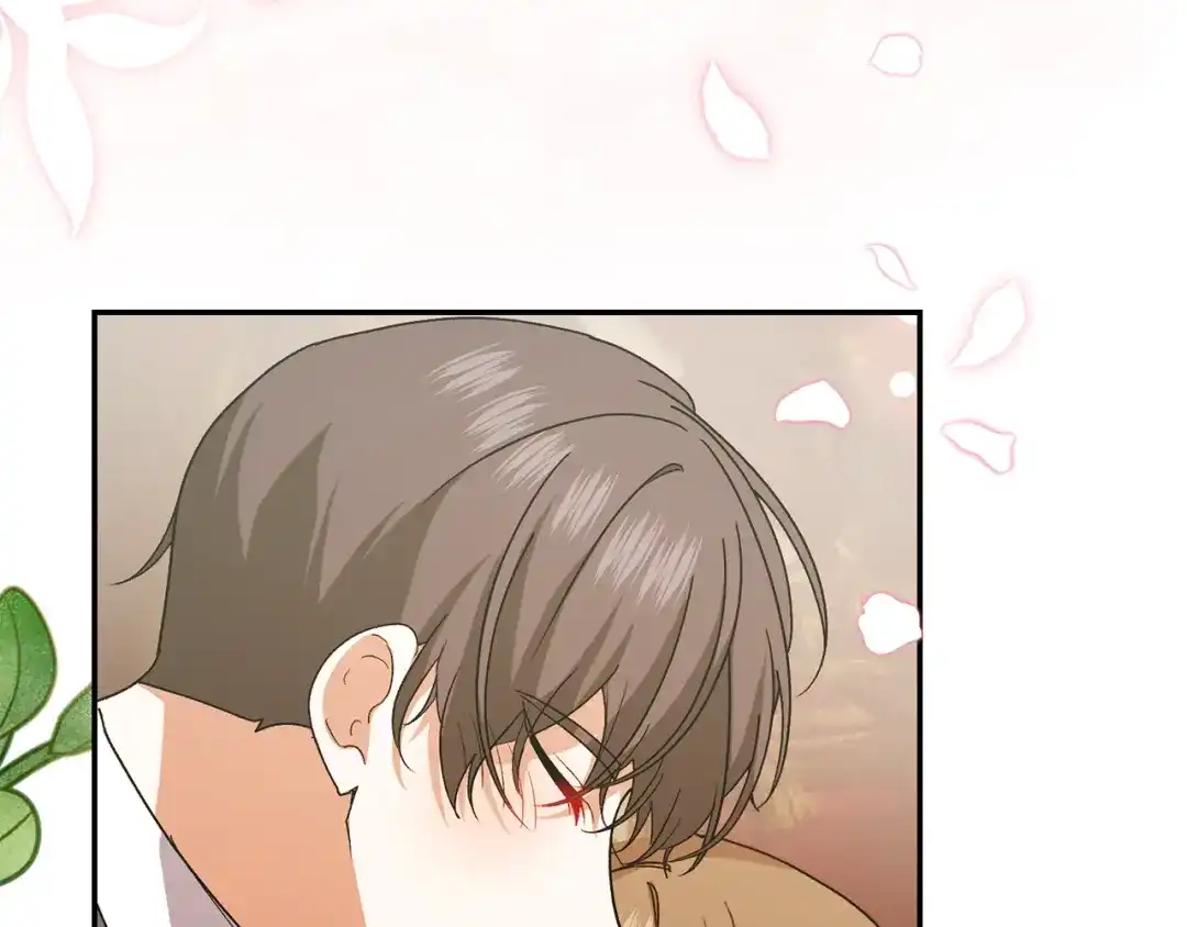 第365页
