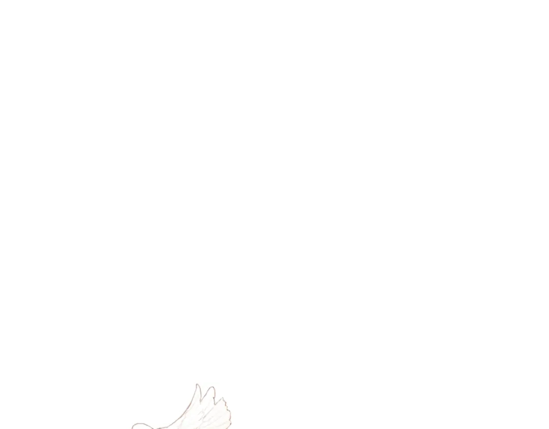 第228页