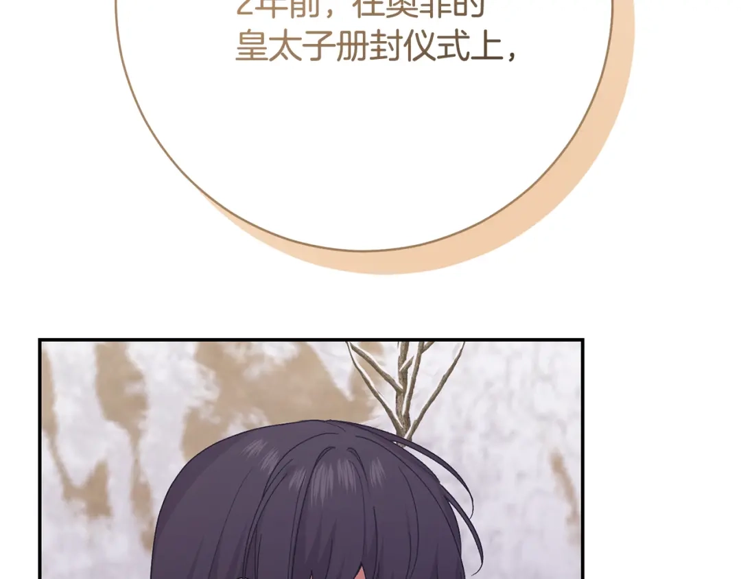 第256页