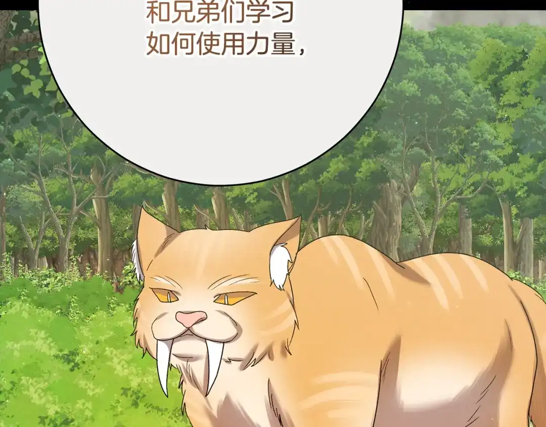 第250页