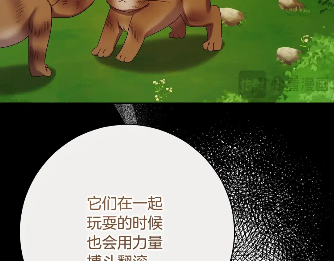 第186页