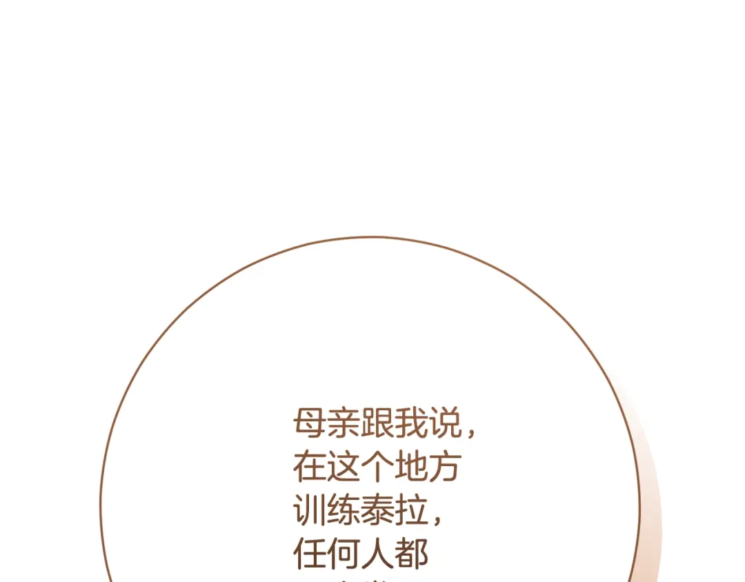 第384页