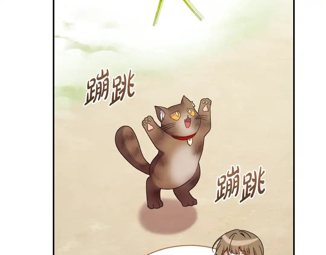 第452页