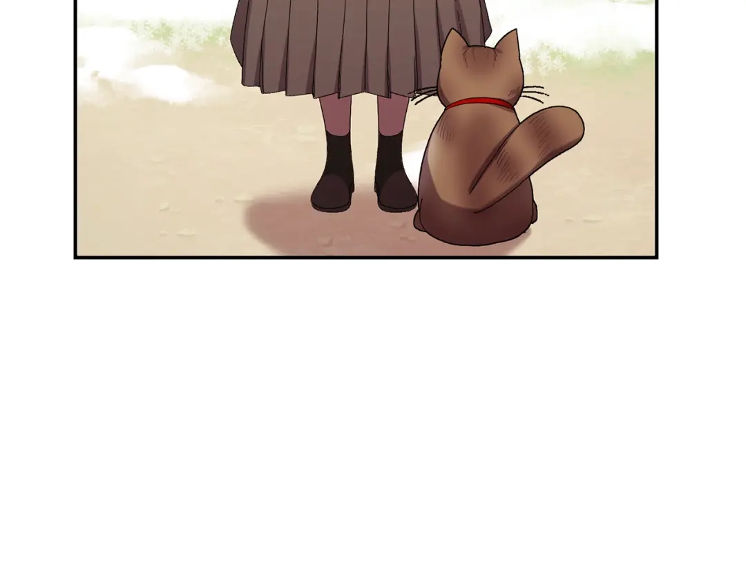 第466页