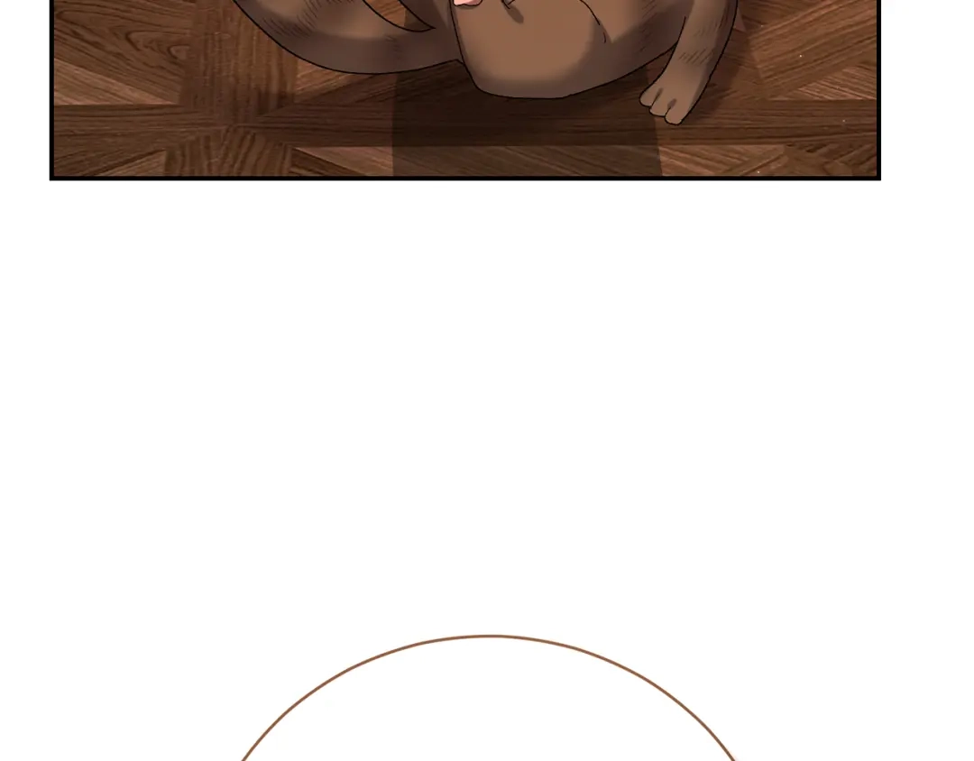 第208页