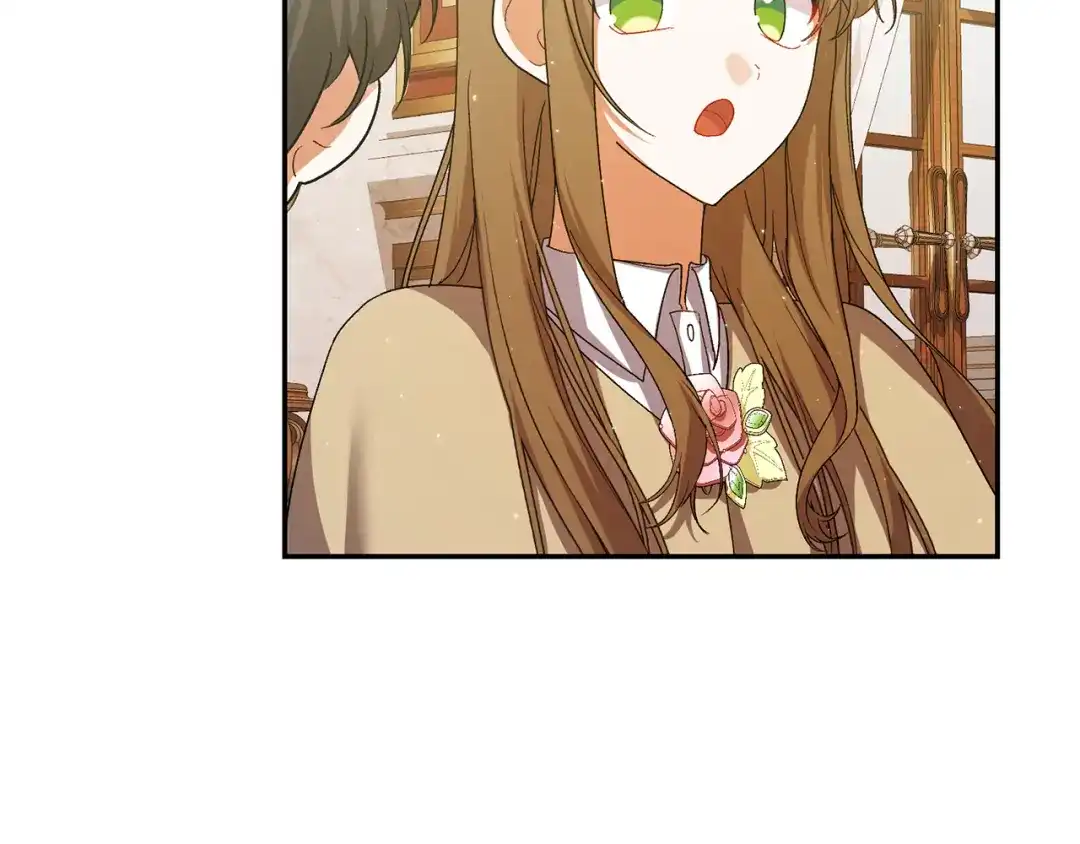 第234页