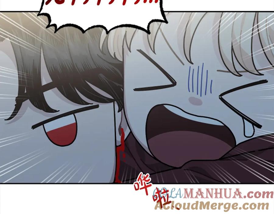 第337页