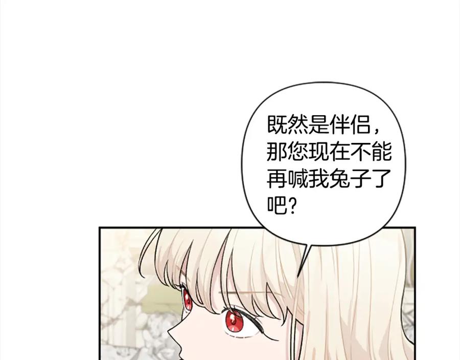 第523页