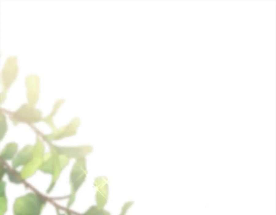 第460页