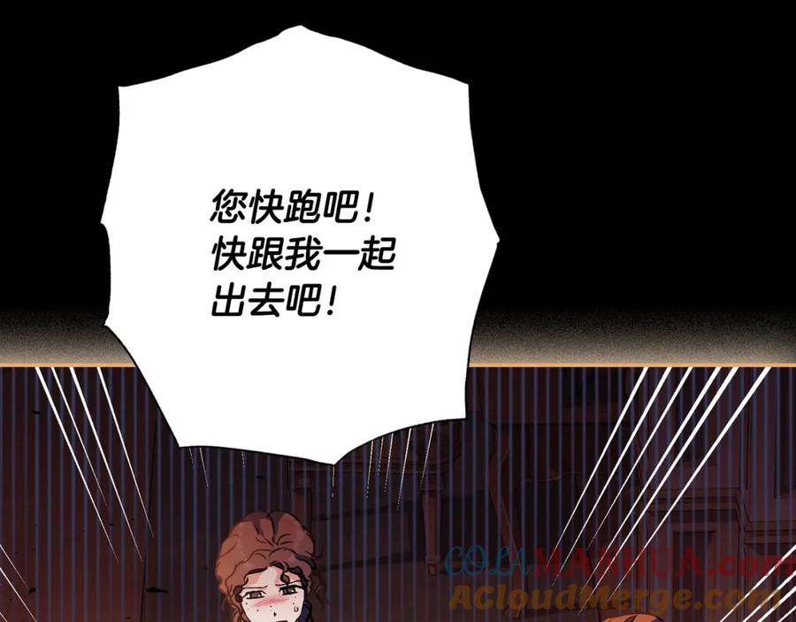 第229页