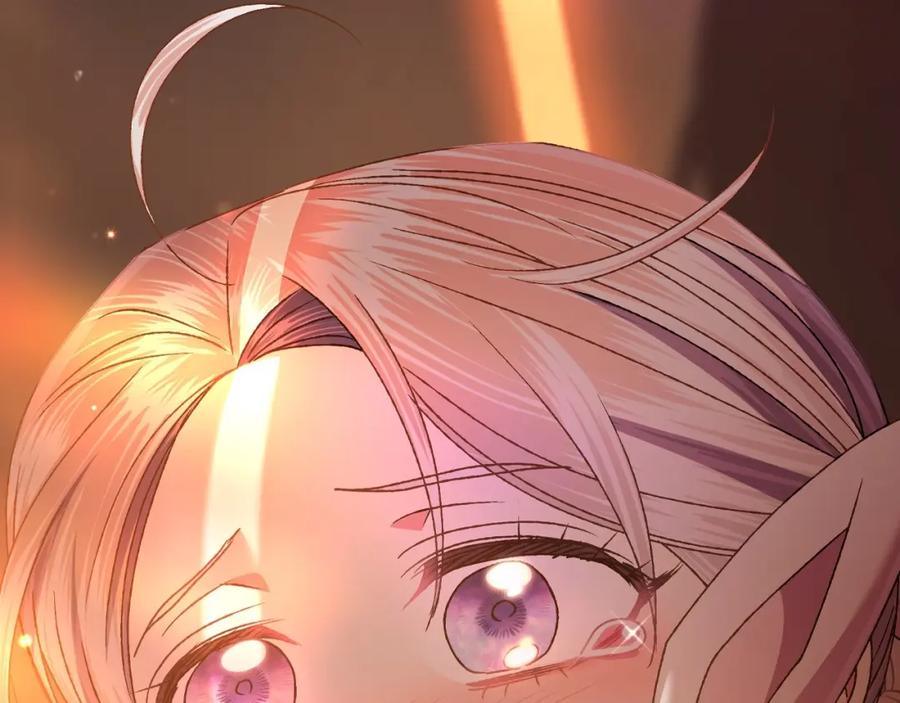 第248页