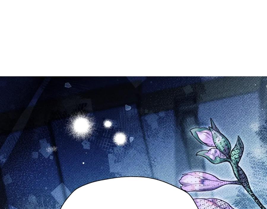 第242页