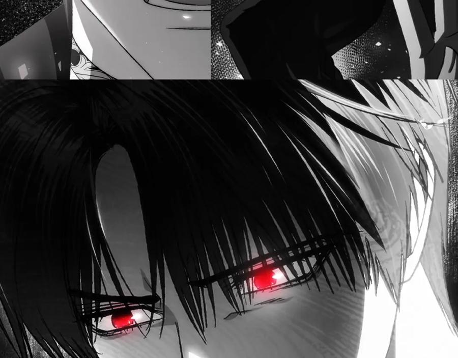 第262页