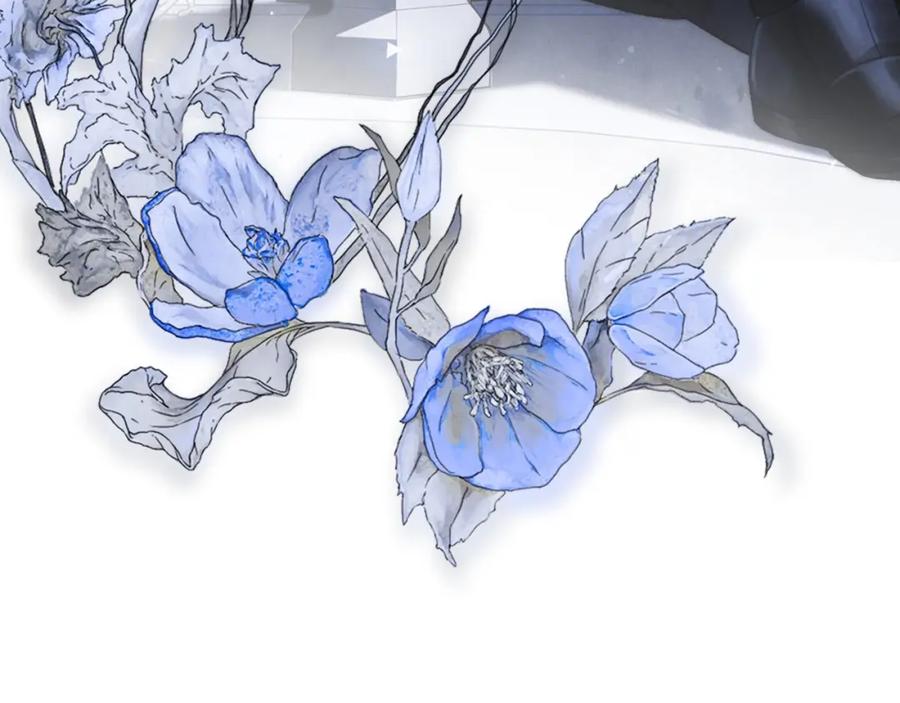第258页