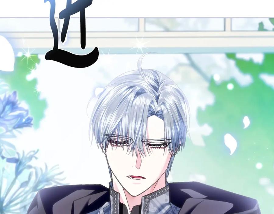 第244页