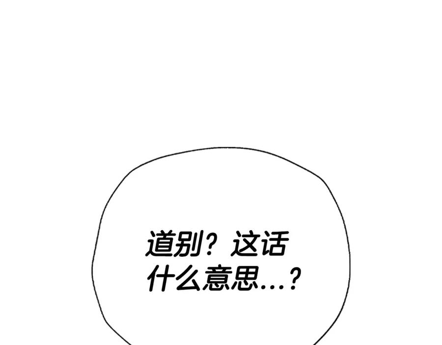 第238页
