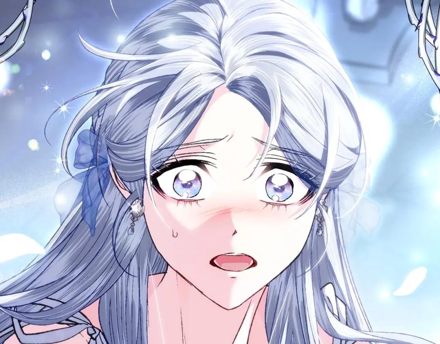 第240页