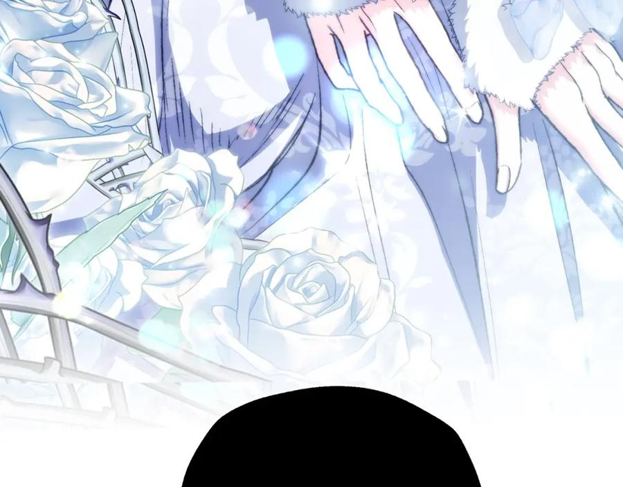 第243页