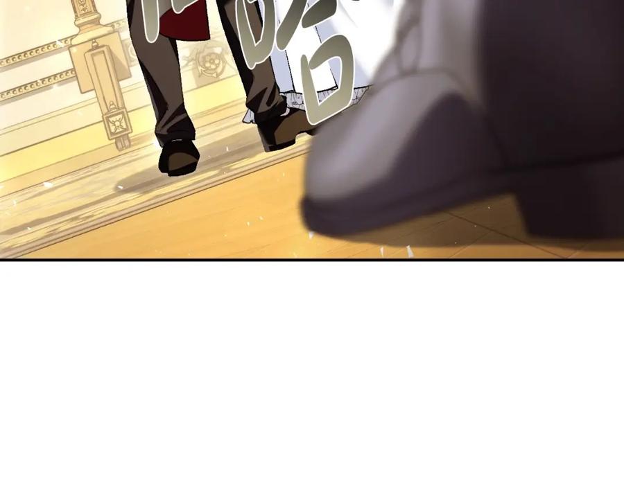 第238页