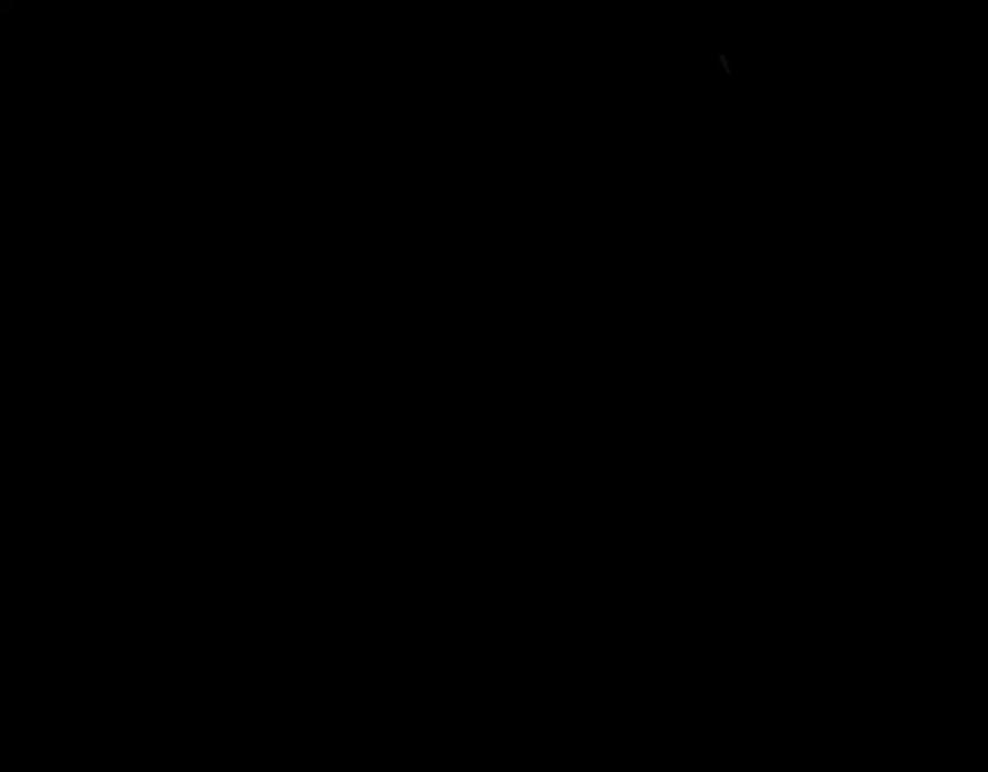 第239页