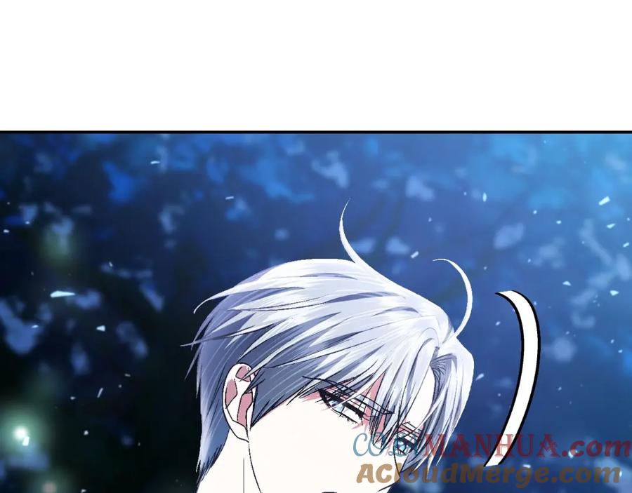 第241页