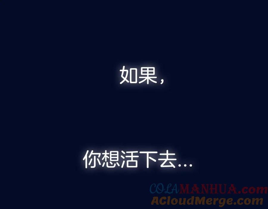 第241页