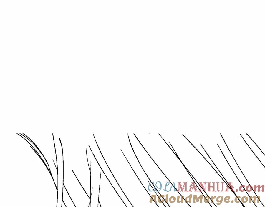 第265页