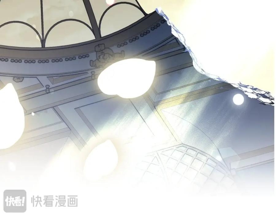 第224页