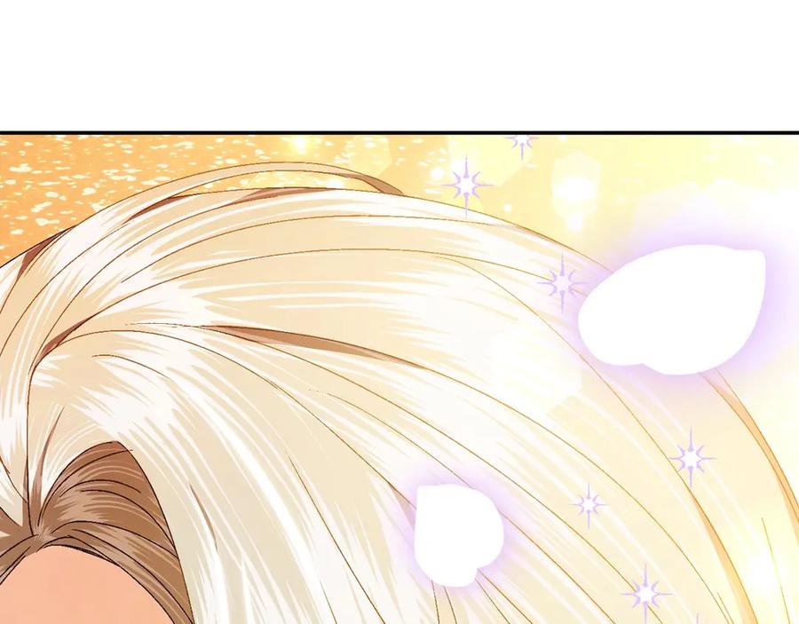 第240页