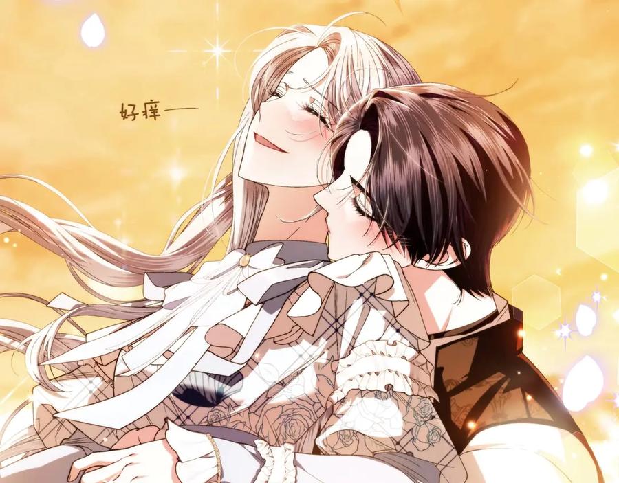 第246页